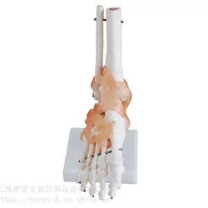 ��Ӧ������KAY-X113A��Ȼ��Źؽ�ģ�ʹ��ʹ���ؽڹ���ģ������ؽ�ģ��
