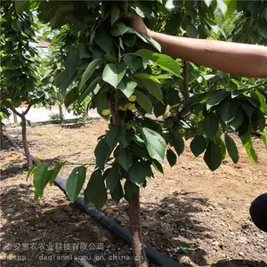 3-5����ӣ�����籨�� 2��Ի�ӣ���� ��ũũҵ1-5�Ի�ӣ����