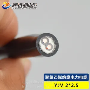 畅远通 电线电缆 生产厂家YJV2芯2.5平方 交联聚乙烯电力电缆 2芯铜芯电力电缆