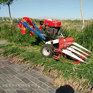 ���������ո�� С��Ͷ��ͨ���͸�ɹ�� ����ɣ���ո��