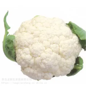 �������ʰײ˻�_ҩ�ò˻����ر���_�������Ȱײ˻�