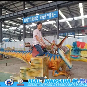 �̳���˿����������������԰����������չ�����߷����������