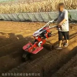 �ַ��عϴ�¢�� �ٺϾջ����������� ��ʥ��е