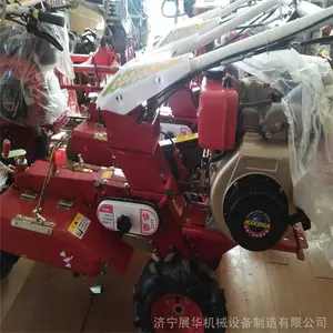 �����ַ������� С���ڹ��� ������¢����������