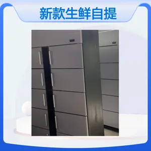 毅迈 生鲜储物柜 生 鲜电商配套智能冷藏自提柜 智能温控 低能耗