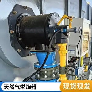 低热值燃料焦炉煤气高炉煤气燃烧器 烧嘴 岱鼎燃烧