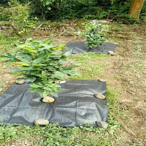 四川保湿防草布 火龙果园夏季覆盖技巧