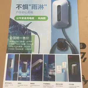 С�����ֵ綯�������ʳ��׮����