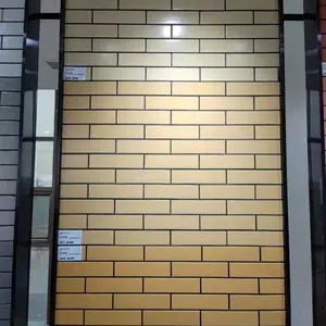 通体亮面3*24外墙砖