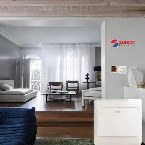 �Ϻ����գ�SONGRI����װһ������˫�� �����Ʊڵư�װ86��ǽ�ڿ��ز������ ���õ�Դ���պϿ���