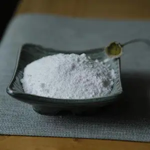 Ƭ״������/ Ƭ״������΢��/ Ƭ״����������/ Ƭ״��������ĥ΢��