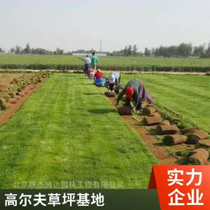 高尔夫草坪基地铺装园林绿化设计门头沟
