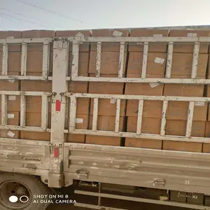 ��Ӧ������ϩ���������� Ӫ��ǿ��������Ӫ��