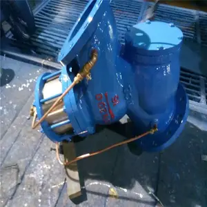 ������ӦYQ98001-16P DN50���˻���ʽ�ɵ���ѹ�� ����ֲ��ʼ�ѹ��