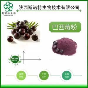 巴西莓提取物 食品原料 水溶性 斯诺特生物 一公斤起订 包邮