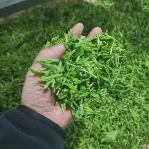 新型微波茶叶杀青机,微波茶叶杀青机