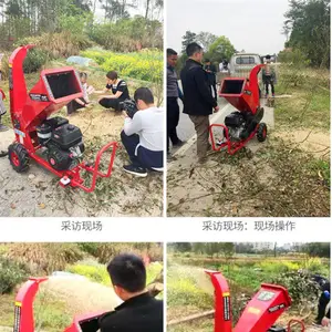 梧桐树枝树杈打碎机 火龙果枝条破碎机 柴油动力树枝粉碎机