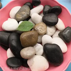 厂家供应3-5公分精品抛光五彩 黑色 白色 雨花石 规格齐全