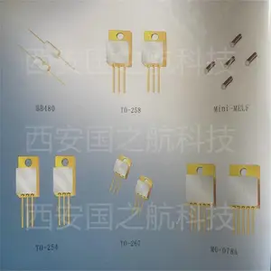 国之航 2DK7047T 2DK7043T 2DK8060U 硅肖特基开关整流二极管 晶体管 镀金外壳TO-254 TO-257 SMD-1封装 正向导通损小