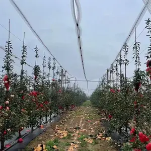 ��԰�������ѷ����� ����С�۷��������� �߲�԰��ũ�����������