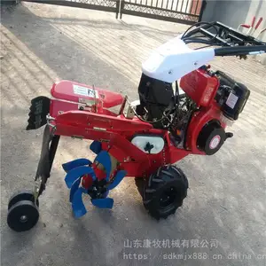 �ع���ֲ��¢�� ���Ϳ��������� �����������������