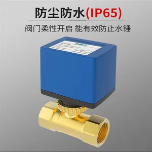 ���ֵ綯�� BV03G2D15SA ���ֵ綯��ͨ��DN20 DN25 DN32 BV03G2D3