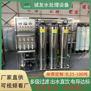 纯水系统 反渗透水处理设备双级纯化水EDI超纯水机大型工业全自动纯净水器