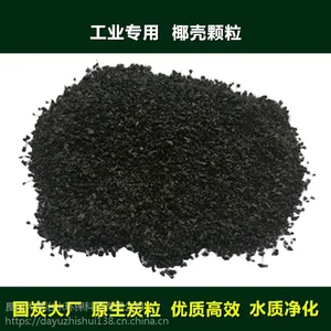 2-4mmɢװҬ�Ǿ�ˮ����̿ ����ˮ����ˮ����ˮ��������Ҭ�ǿ���̼ 25kg