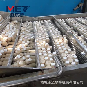 厂家直销瓶装杀菌流水线 迈尔特玻璃瓶巴氏杀菌机
