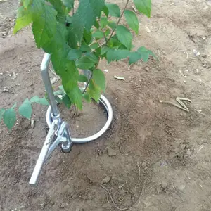 移植西红柿黄瓜草莓等各种蔬菜移苗器