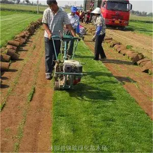 ���� �ļ����ƺ�ļ����� �����ֳ�ѡ�� ����������������