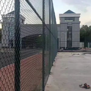 ����Χ����ɫ|������Χ������