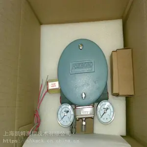 ECKARDT/FOXBORO����˹����ִ����SRD960-BHQDSN6EDZNF-X