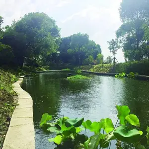 常州市批发人工浮岛 施工设计 水生植物生态浮岛