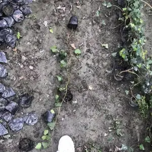 ���������ٹ���������ļ����̵�С�׳���2��