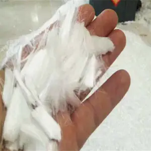 �۱�ϩ��ά ��߻������Ŀ���������