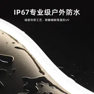 1212�轺�޺�ƴ���ѹ24V�����ˮ����LED�������Ҷ�����ͼ����