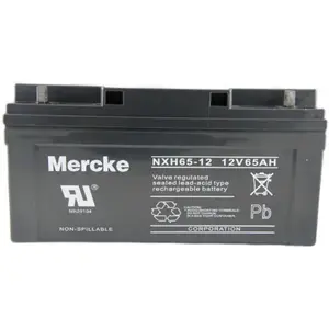 MERCKEĬ������NXH200-12 12V200AH̫����/����/���� ֱ�������
