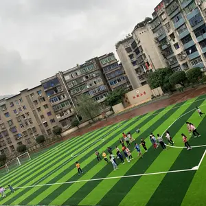 ���������ƺ 30mm�߶� 50mm�߶� ������ƺ