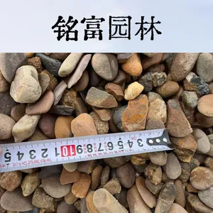 1-3公分天然鹅卵石 水处理滤料 河道水洗干净砾石现货批发