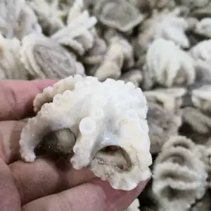 鲅鱼挂冰机 全自动挂冰机厂家直销 供应冻品挂冰机