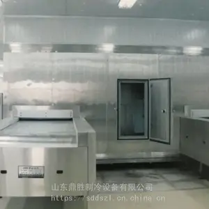 供应鼎胜DS-GBS-300钢板带速冻机（钢板带速冻隧道，钢板带单冻机）