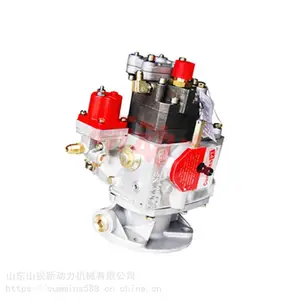 �������쿵��˹nt855ȼ�ͱ�3042115-20