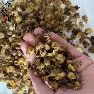 ��ҩ����÷�� ����÷��