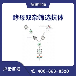 酵母双杂筛选抗体技术服务-抗体筛选-Y2H筛选抗体-南京瑞源生物