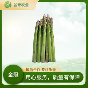 ���«�����Ӵ�׳�߲���Ӧ�Թ����ֱ�����ȶ���ǿ