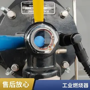 天然气低氮燃烧器 工业烘干设备天然 气燃烧机 岱鼎燃烧