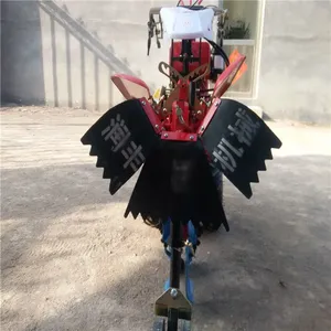 ����԰���������������� һ�����������԰����������