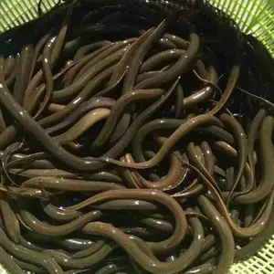 ������ �����ֻ� ˮ��ֱ�� ���ڻ����� ������ҵ�ṩ����֧��