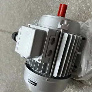 �¶������Ӧ����С����YS8024�����첽�綯��0.75W